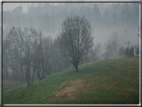 foto Pendici del Monte Grappa in Inverno